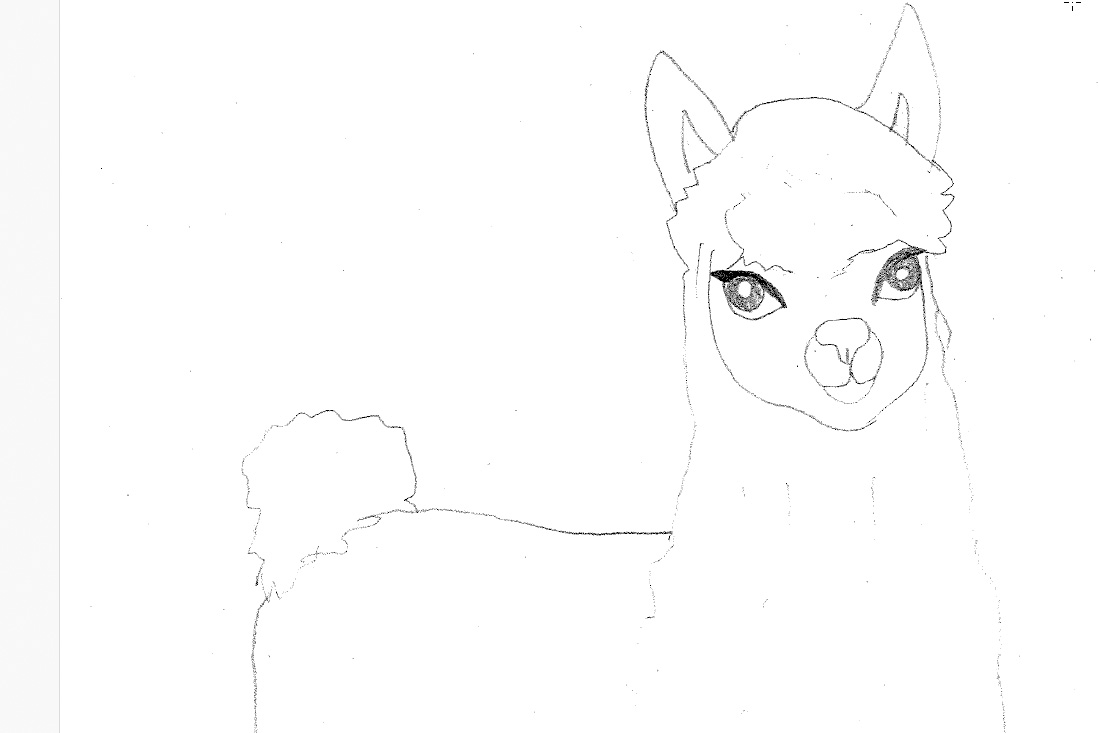 von Kind mit Bleistift gezeichnetes Alpaka